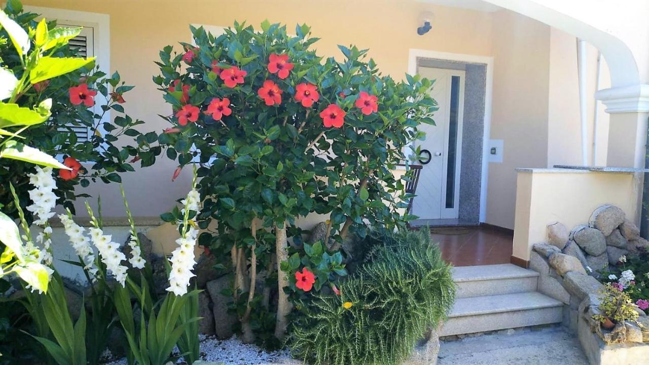 奧爾比亞Casa Dolce Hibiscus公寓 外观 照片